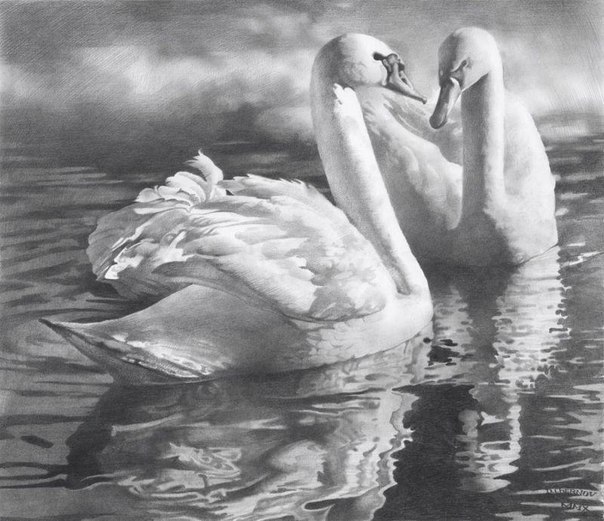     (Denis Chernov) - 5