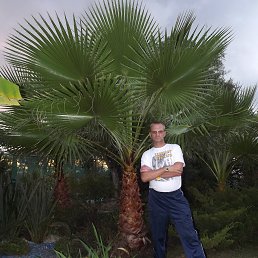 ���� �������, ������� ���� - ��������� 23 ������ 2014