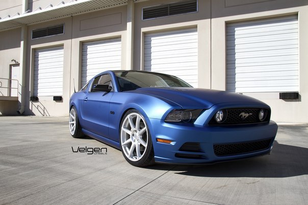 Matte Blue Ford Mustang 5.0 - 6