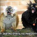 ���� ��������, ����������, 40 ��� - ��������� 12 ���� 2014 � ������ ������ ��������