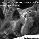 ���� ������, �������������, 61 ��� - ��������� 3 ������� 2014 � ������ ������ ��������