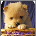 ���� *����*, ������, 57 ��� - ��������� 1 ������ 2014 � ������ �������