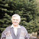 �����2013 �� ������� ���� ����������