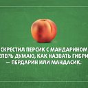 ���� ������, �����, 52 ���� - ��������� 21 ���� 2014 � ������ ������ ��������