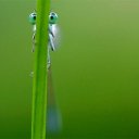 ���� ������, ������, 85 ��� - ��������� 10 ��� 2014 � ������ ���� ����������