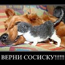  , , 61  -  9  2014      )))