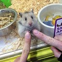 ���� �����, ��������, 56 ��� - ��������� 7 ������ 2014 � ������ ���� ����������