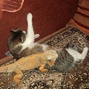 ���� ������, ������, 63 ���� - ��������� 11 ���� 2014 � ������ �������