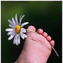 ��������! �� ������� ���� ����������