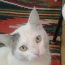 ���� Helga, ������ - ��������� 31 ����� 2014 � ������ �������