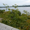 ���� �����, ������� - ��������� 17 ������� 2014 � ������ �14.08.2014�.�