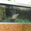 ���� ����, ��������� - ��������� 10 ������� 2014 � ������ ���� ����������