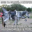 ���� ������, �������, 37 ��� - ��������� 1 ������� 2014 � ������ ���� ����������