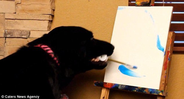 .   ,    -,   .     ...