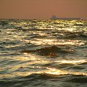 ���� �����, ������ - ��������� 15 ����� 2014 � ������ ���� ����������