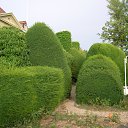  Nadiusha Fedorovna, , 81  -  10  2014    