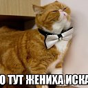 ���� �, ������� - ��������� 15 ������ 2014 � ������ ������ ��������