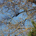  , -, 59  -  31  2014   ............