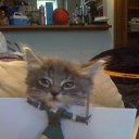 ���� ���������, ������, 44 ���� - ��������� 22 ����� 2014 � ������ �:))�