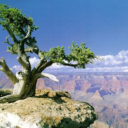 ���� �����, ����������, 46 ��� - ��������� 5 ���� 2014