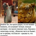 ���� (((((�))))), ���������, 53 ���� - ��������� 10 ������� 2014 � ������ ������ ��������
