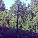  , , 44  -  25  2014    -Zvezdochet