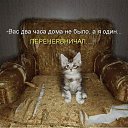 ���� T�����, ����� - ��������� 24 ���� 2014 � ������ ���� ����������
