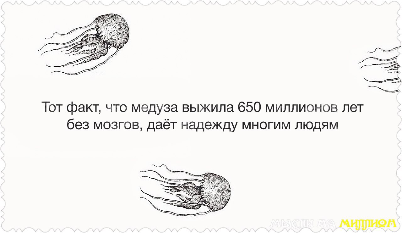 Тот факт что при его. Тот факт что при его. Тот факт что медуза выжила. Высказывания про мозг. Тот факт что при его.
