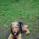 ���� ������, ������, 49 ��� - ��������� 21 ������ 2014 � ������ ������� �������