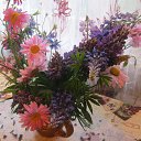 ���� ������, ����� - ��������� 16 ���� 2014 � ������ ������ ���