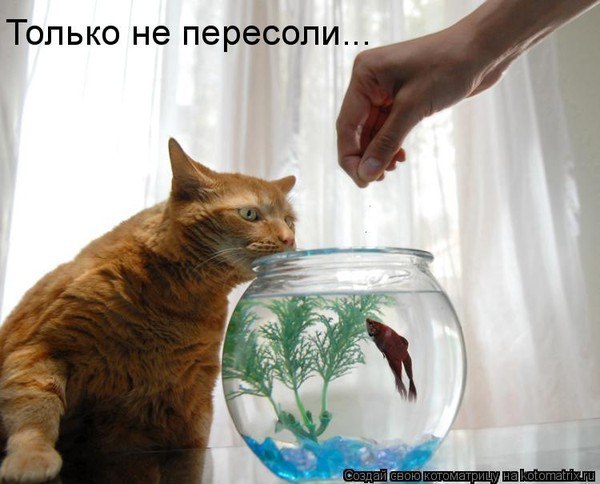 ����� - 11 ������� 2014 � 19:45