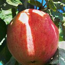 ������ 2014 �� ������� �"...�� ������ ������..."�