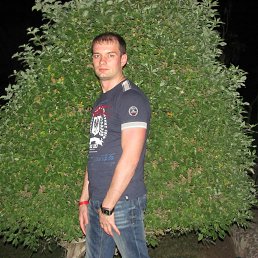 �����, ���������