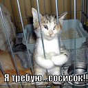 ���� ���������, ����������, 65 ��� - ��������� 2 ��� 2014 � ������ ������ ��������