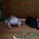  , , 71  -  4  2014      ...