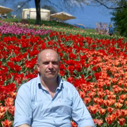 ���������, ����, 53 ����