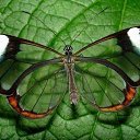 ���� ��������, �������, 51 ��� - ��������� 26 ��� 2014 � ������ ������ ��������