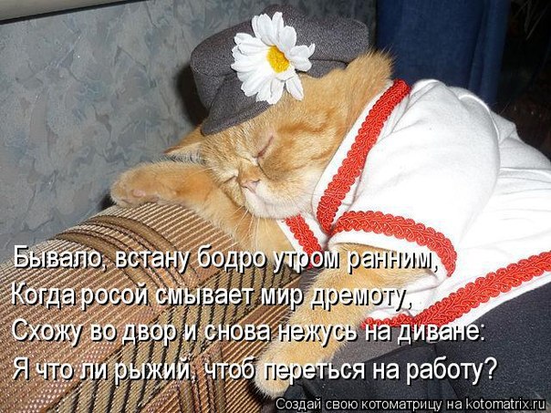 Валюша - 6 августа 2014 в 08:54