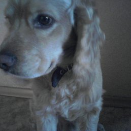 ���� ����, ������, 21 ��� - ��������� 29 ���� 2014