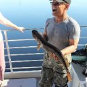 ���� ������ "�������� ", ������� � ������. �� ������� �������