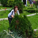 ���� ������, �������, 49 ��� - ��������� 3 ��� 2014 � ������ ���� ����������