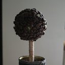 ���� ��������, ��������, 37 ��� - ��������� 21 ��� 2014 � ������ ��� �����