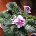 ���� �����, ������ �������� - ��������� 22 ����� 2014 � ������ �������