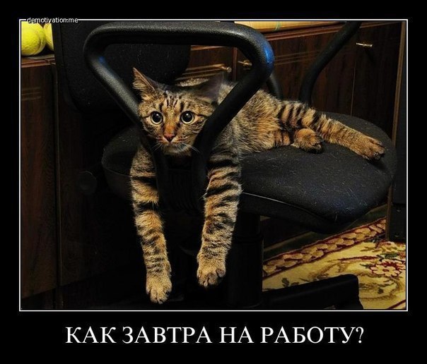 , , ??  ,    ......