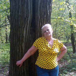 ���� ���������, ������, 73 ���� - ��������� 3 ��� 2014