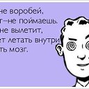 ���� �����, ������ - ��������� 27 ��� 2014 � ������ ������ ��������