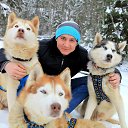 ���� ���� ���������, ������-��-����, 39 ��� - ��������� 19 ��� 2014 � ������ ���� ����������