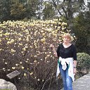 ���� �����, ������, 49 ��� - ��������� 31 ����� 2014 � ������ ���� ����������