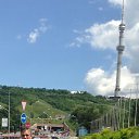 ���� ���, ������, 48 ��� - ��������� 29 ���� 2014 � ������ ������ ��������