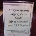  , , 49  -  17  2014   ....